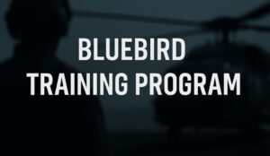 BLUEBIRD