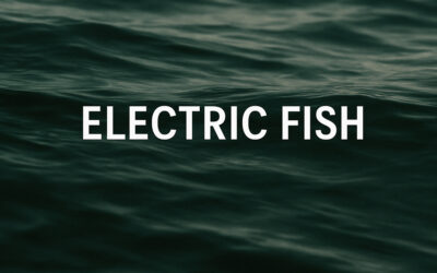 U.S. Scientists Studied Electric Fish to Build Underwater Pattern Recognition Systems