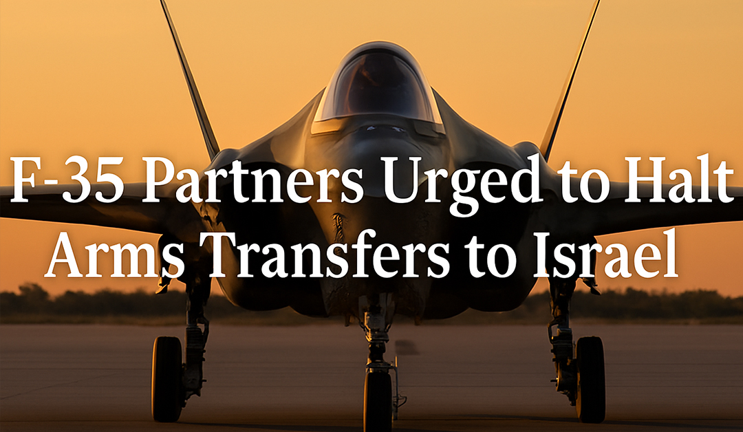 The F-35 Fallout: Over 230 Groups Demand Global Arms Embargo on Israel