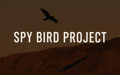 Project AQUILINE: Inside the CIA’s Secret Drone Program